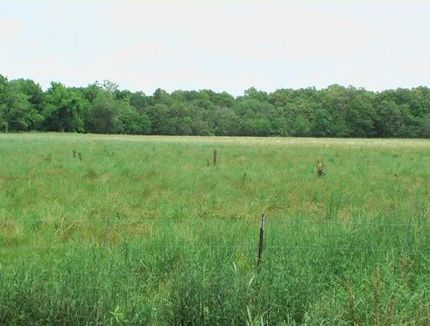 Farm and Ranch in Richland Parish, Louisiana