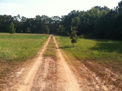 Farm and Ranch in Morehouse Parish, Louisiana