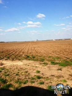 Farm and Ranch in Richland Parish, Louisiana