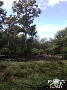 Farm and Ranch in Richland Parish, Louisiana