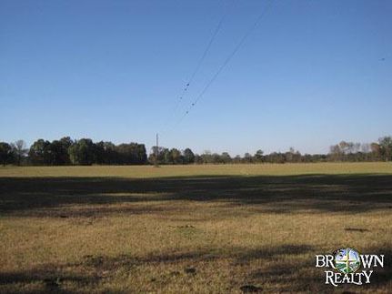 Timberland Property in Catahoula Parish, Louisiana
