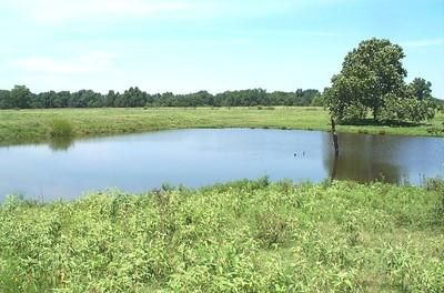 Timberland Property in Muskogee County, Oklahoma
