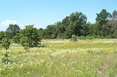 Farm and Ranch in Creek County, Oklahoma