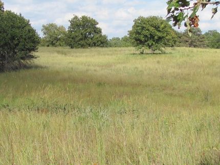 Land in Okfuskee County, Oklahoma
