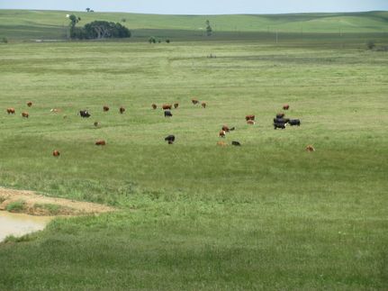 Land in Nowata County, Oklahoma