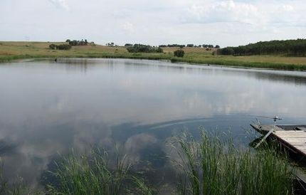 Timberland Property in Osage County, Oklahoma