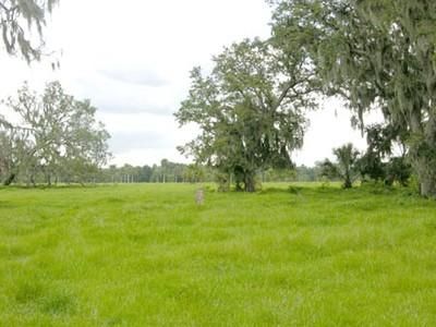 Recreational Property in Hillsborough County, Florida