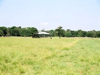 Land in Hillsborough County, Florida