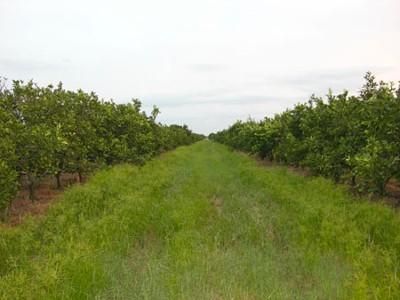 Land in Hardee County, Florida