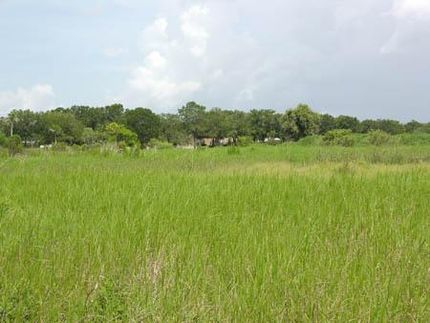 Farm and Ranch in Hillsborough County, Florida