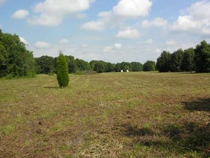 Farm and Ranch in Polk County, Florida