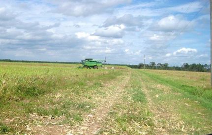 Farm and Ranch in Saint Johns County, Florida
