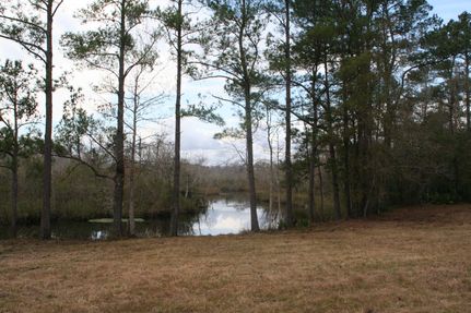 Land in Nassau County, Florida