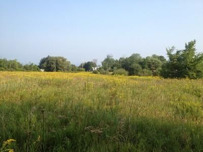 Farm and Ranch in Montgomery County, New York