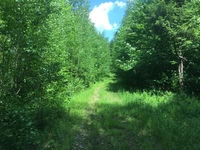 Recreational Property in Oswego County, New York