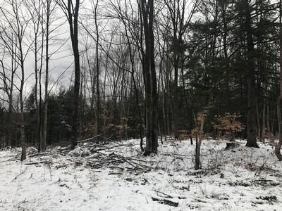 Commercial Property in Oswego County, New York