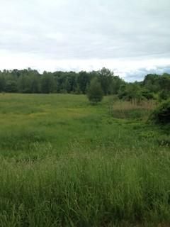 Farm and Ranch in Oneida County, New York