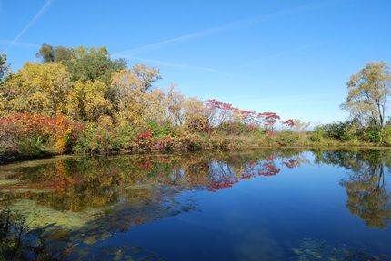 Farm and Ranch in Madison County, New York