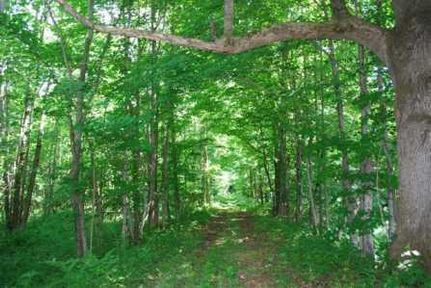 Farm and Ranch in Oswego County, New York