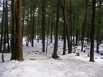 Land in Oswego County, New York