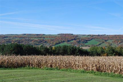 Timberland Property in Madison County, New York