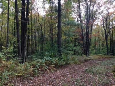 Land in Oneida County, New York