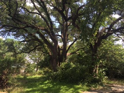 Farm and Ranch in Erath County, Texas