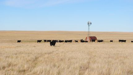 Farm and Ranch in Niobrara County, Wyoming
