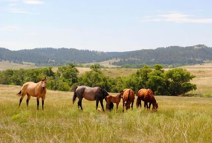 Farm and Ranch in Sioux County, Nebraska
