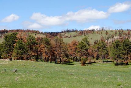 Farm and Ranch in Weston County, Wyoming