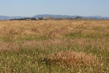 Farm and Ranch in Johnson County, Wyoming