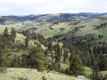 Land in Niobrara County, Wyoming