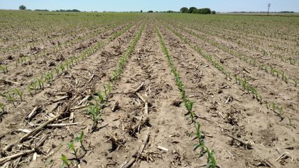 Land in Clay County, Nebraska