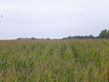 Land in Clay County, Nebraska