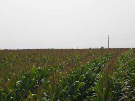 Land in Kearney County, Nebraska