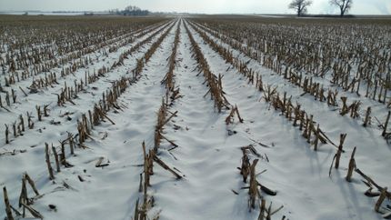 Land in Clay County, Nebraska