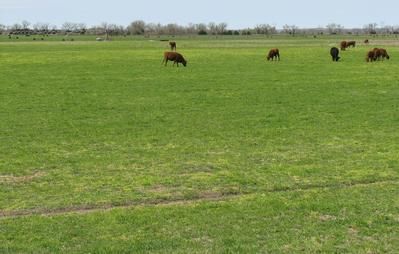 Land in Lincoln County, Nebraska