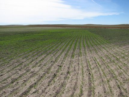 Land in Kimball County, Nebraska