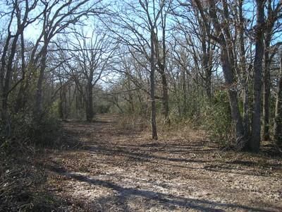 Land in Gonzales County, Texas
