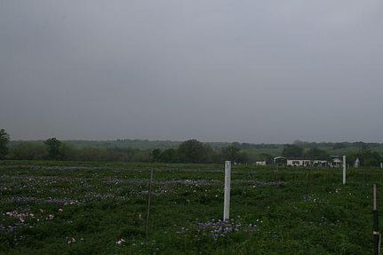 Farm and Ranch in Gonzales County, Texas