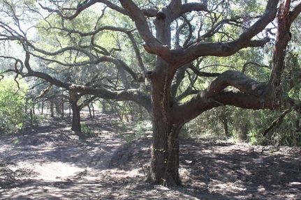 Farm and Ranch in Fayette County, Texas