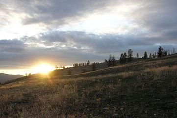 Horse Property in Okanogan County, Washington