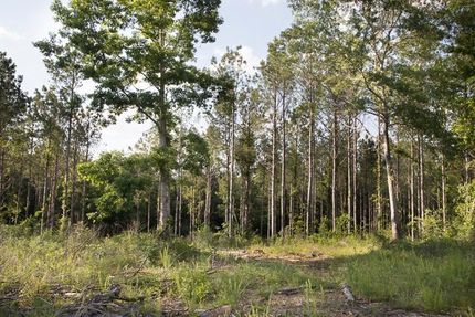 Farm and Ranch in Chilton County, Alabama