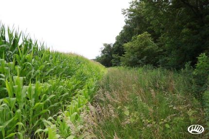 Land in Whiteside County, Illinois