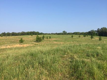 Land in Ouachita Parish, Louisiana