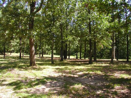 Farm and Ranch in Douglas County, Missouri