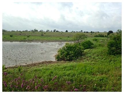 Farm and Ranch in Hamilton County, Texas