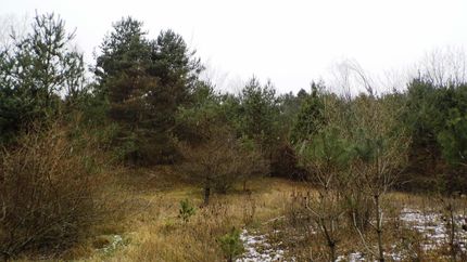 Land in Tuscola County, Michigan