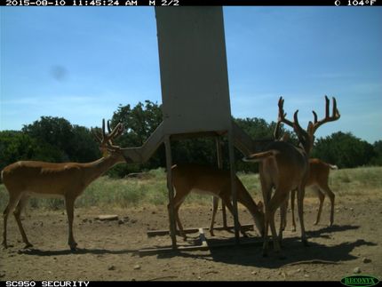 Recreational Property in Taylor County, Texas