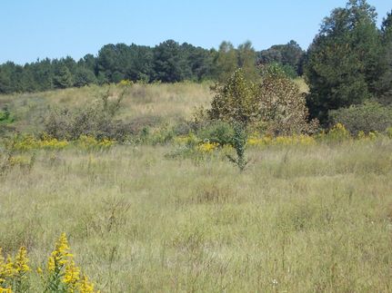 Farm and Ranch in Jefferson County, Alabama